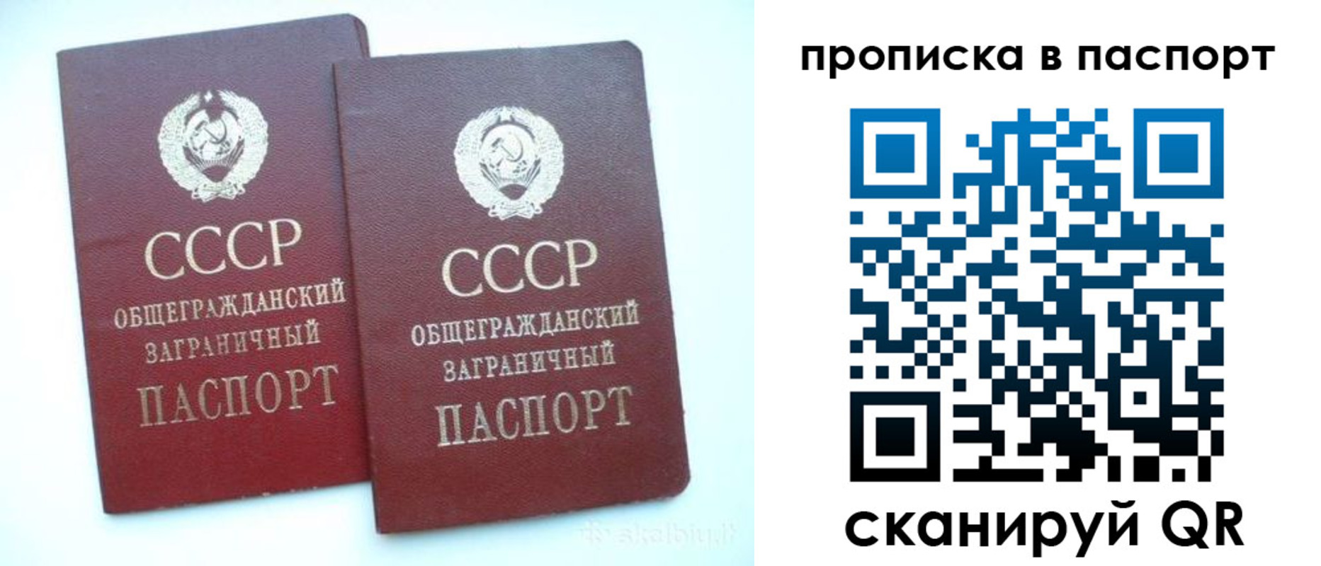прописка законно в Тосно